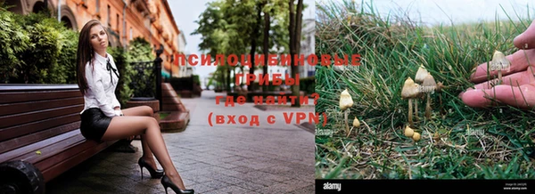 spice Балахна