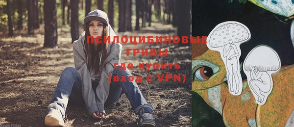 соль ск Балабаново