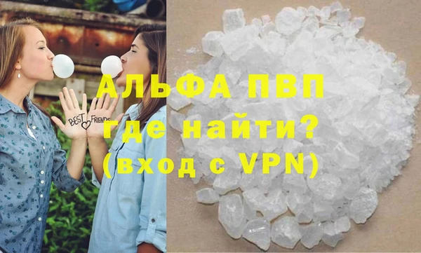 дживик Пересвет
